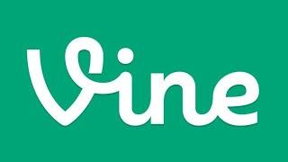 Vine