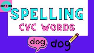 Spelling CVC Words / Interactive Spelling Practice / Kindergarten / First Grade / Spelling / CVC