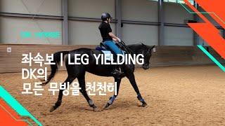 [DK Horse] DK의 모든 무빙을 천천히 | 좌속보 사횡보 레그일딩 | 이강진 코치 | 에이스 승마랜드 | 승마 마장마술 기승일기 | Horse Riding