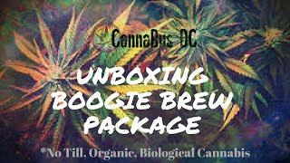 Unboxing Boogie Brew Package! (No till, organic, cannabis growing)