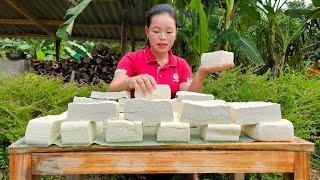 "Recipe and Process of Making Dou Hu to Sell at the Market | Trieu Mai Huong".