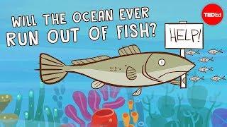 Will the ocean ever run out of fish? - Ayana Elizabeth Johnson and Jennifer Jacquet