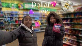 DOLLAR TREE SHOPPING CHALLENGE (nyra and alyssa vlog)️