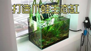 沉浸式开缸，历经400天给非洲爪蛙打造生态缸，太好玩太有趣