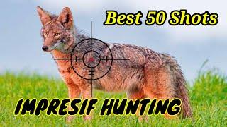 Record-breaking Fifty Coyote hunting shots || impressive hunt #coyote #coyotes #wolf  #hunting