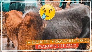 OVERZICHT van VERWAARLOOSDE PAARDEN uit 2021!! || Paardzoektbaas