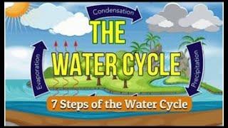 THE WATER CYCLE ( 7 Steps of the Water Cycle)