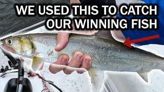 How We Caught the Ladyfish that Caught the Winning Redfish