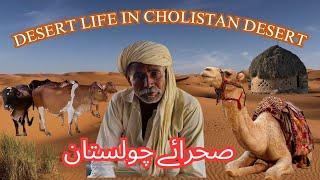 How Desert Villagers live | Cholistan Desert Village Life