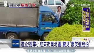 尷尬！搜尋小烏來街景地圖　驚見「燦笑遛鳥伯」｜三立新聞台