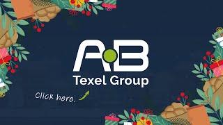 Christmas and New Year’s Greetings | AB Texel Group