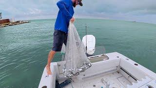 Live Bait Patch Reef Fishing - No Voice - Not My Best Work