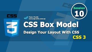 CSS Box Model - Design Your Web Layout Session 10  | Tutor Pratik