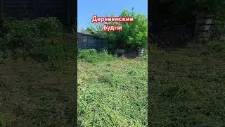 деревенские будни