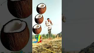 Rounding coconut to Duck, peacock, pigeon parrot-Birds names magic video #shortsfeed