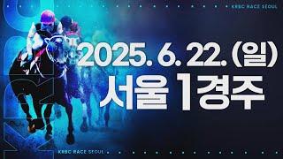 (서울) 2025.06.22 1경주