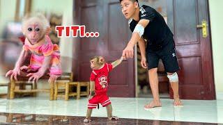 Fragile hope... Where is poor monkey TiTi now?