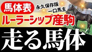 【競馬】【一口馬主】ルーラーシップ産駒の特徴！活躍馬の募集時は？