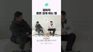 강아지 훈련 쉽게 하는 법