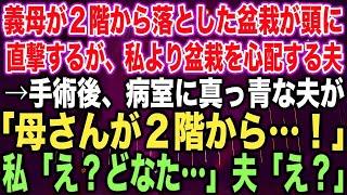 【スカッとする話】義母が２階から落とした盆栽が頭に直撃するが、私より盆栽を心配する夫→手術後、病室に真っ青な夫が「母さんが２階から…！」私「え？初めまして…」夫「え？」【修羅場】