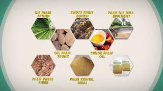 Oil Palm Products as Animal Feedstuffs