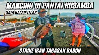 INI IKAN PENGHUNI KARANG DI PERAIRAN PANTAI KUSAMBA.MANCING DINPANTAI KUSAMBA.