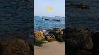 저 모래위에 권선징악 이라고 글씨를 써 보는건디 #푸른#바다#잔잔한#힐링#shorts