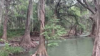 Gorgeous Castroville Regional Park