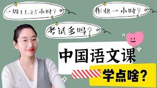 中文学习|海外孩子要不要回国读书学中文|中国语文课学点啥|校园学习