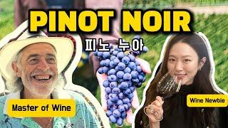 Pinot Noir | Master of Wine Peter Teaches Wine Newbie (almost) everything about Pinot Noir