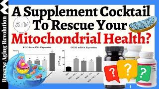 Will THIS Supplement Cocktail RESCUE YOUR Mitochondrial Health?