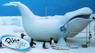 Pingu and the Giant Ice Whale! | Pingu Official | 1 Hour | Cartoons for Kids