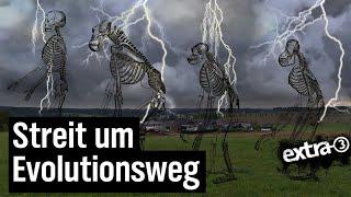 Realer Irrsinn: Ärger um Evolutionsweg im Westerwald | extra 3 | NDR