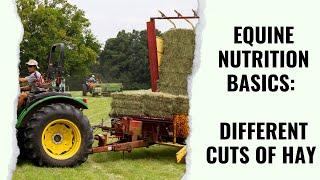 First Cut vs. Second Cut of Hay - Equine Nutrition Basics