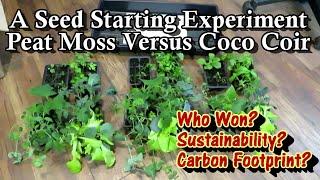 A Seed Starting Experiment  - Peat Moss v. Coco Coir:  Who Won, Environmental Concerns, Your Choice