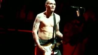 Red Hot Chili Peppers - What Is Soul - Live Off The Map [HD]