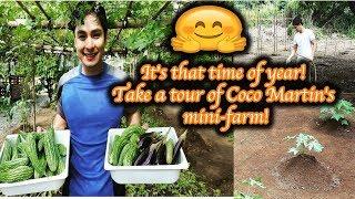 It's that time of year! Take a tour of Coco Martin's mini farm!