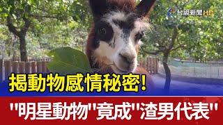 揭動物感情秘密! "明星動物"竟成"渣男代表"