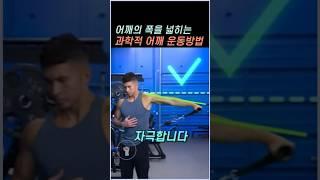 어깨의 폭을 넓히는 과학적 어깨운동 방법