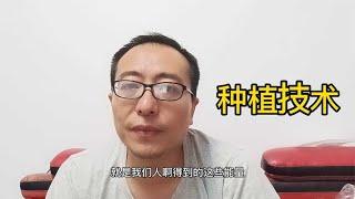 农作物苗期移栽前后管理的注意事项及方法 1