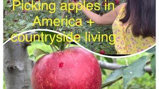 Picking apples at KNOWLAN Family Farm | Picking apples in America | NK Johnson’s Vlog