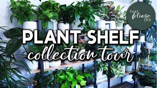 Plant Shelf Collection Tour (Over 50+ Houseplants!)