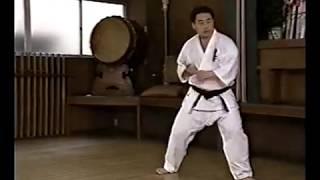 Training with Shokei Matsui