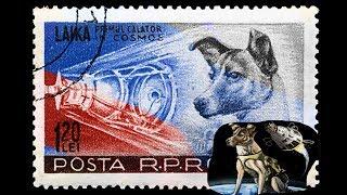 EL PRIMER SER VIVO EN EL ESPACIO | LA HISTORIA DE LAIKA | YIROXCAM