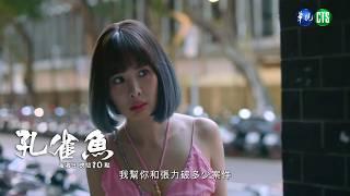 【#孔雀魚 EP1】張力私下行動，失蹤了｜預告 ｜尹馨  安心亞  藍葦華 莊凱勛 張再興 姚淳耀 陳慕義 顏正國