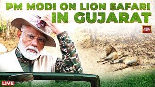 PM Modi LIVE: PM Modi Goes On Lion Safari In Gujarat's Gir On World Wildlife Day | India Today Live