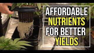 How i Feed My Cannabis Plants for Monster Yields - Floraflex Nutrients - How to Grow Weed From Home