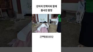 큰아들 천백이와 함께 돌사진 촬영 #쇼츠 #shorts #shortvideo #돌스냅 #돌사진 #천백이 #가족