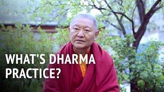 What is Dharma Practice? | Ringu Tulku