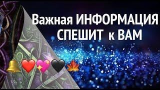 ВАЖНАЯ ИНФОРМАЦИЯ ДЛЯ ВАС ПРЯМО СЕЙЧАС Общий расклад Таро/@diamondway